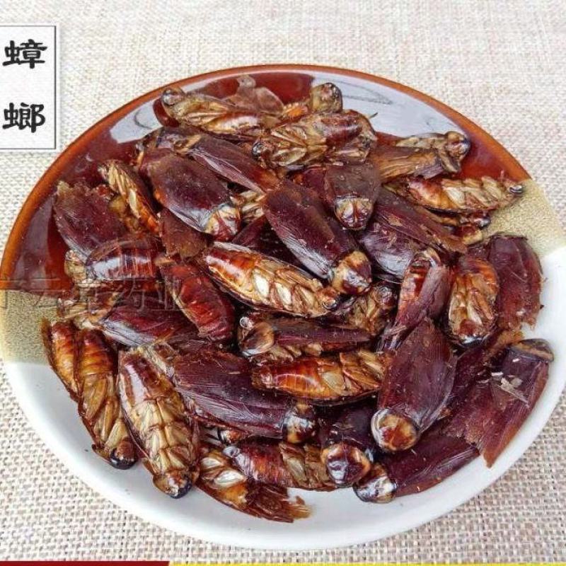 蟑螂冷背中药材干货蟑螂精选中药材合作共赢