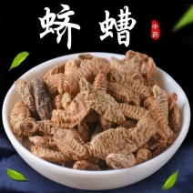 蛴螬中药材蛴螬冷背土蚕老母虫正品精选中药材