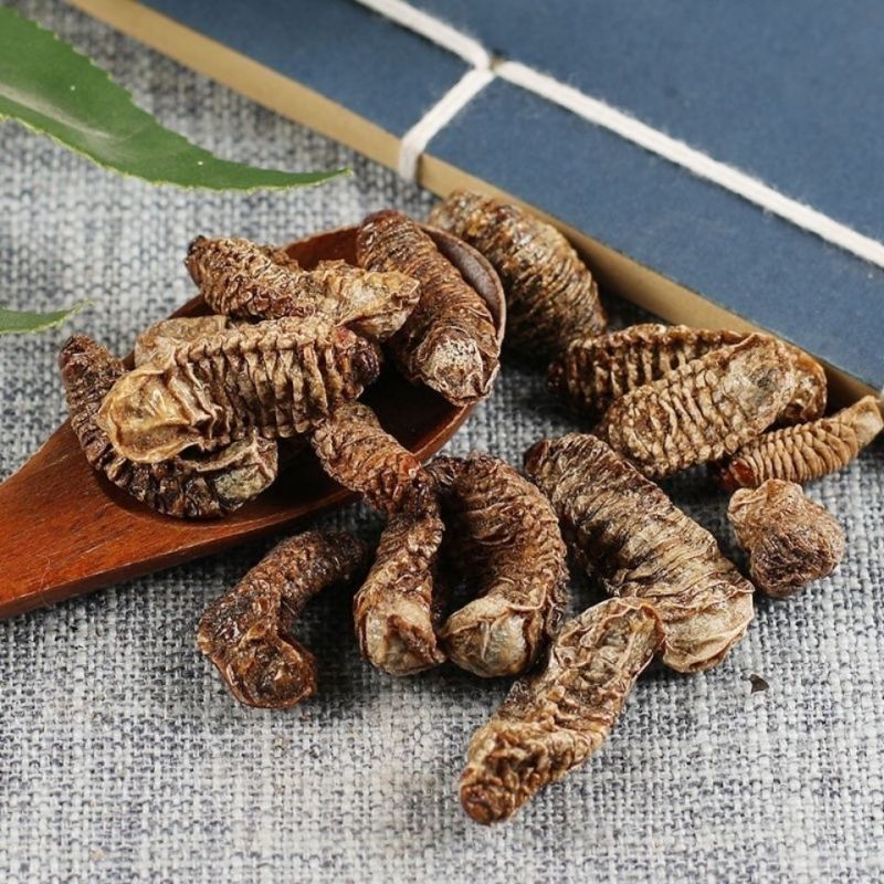 蛴螬中药材蛴螬冷背土蚕老母虫正品精选中药材