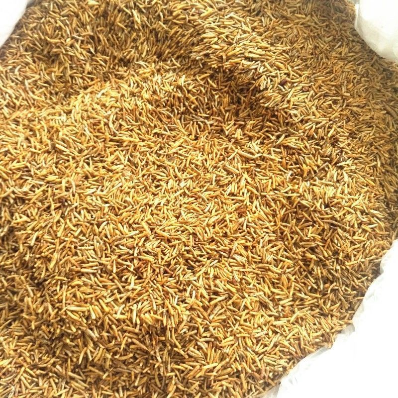 五谷虫冷背中药材食用五谷虫黄金无谷虫正品精选