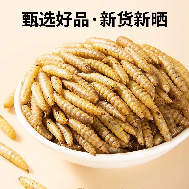 五谷虫冷背中药材食用五谷虫黄金无谷虫正品精选