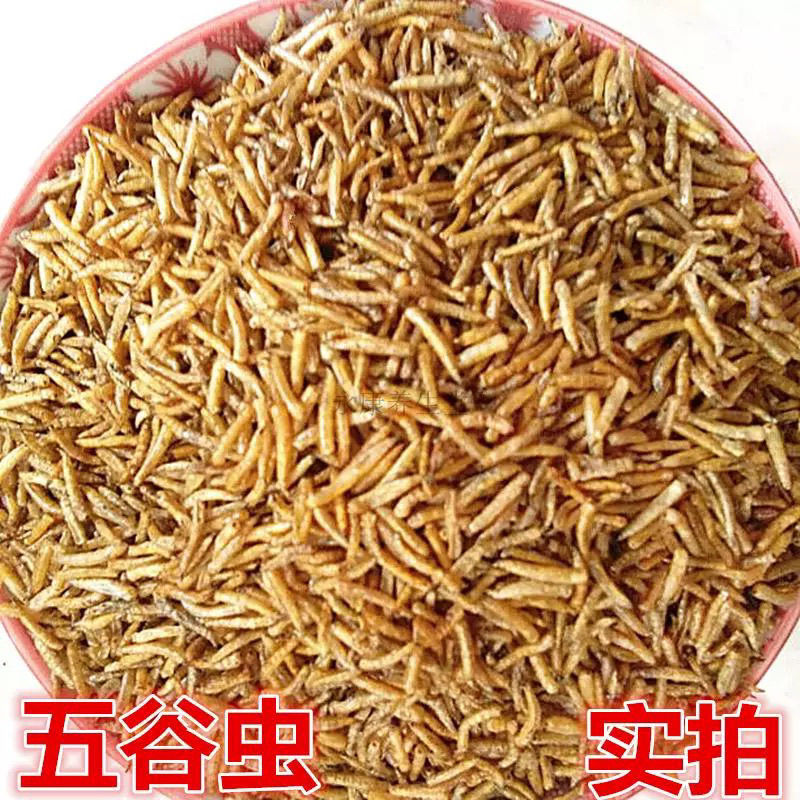 五谷虫冷背中药材食用五谷虫黄金无谷虫正品精选