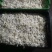 厂家直发豆芽黄豆芽绿豆芽自家工厂直供量大从优