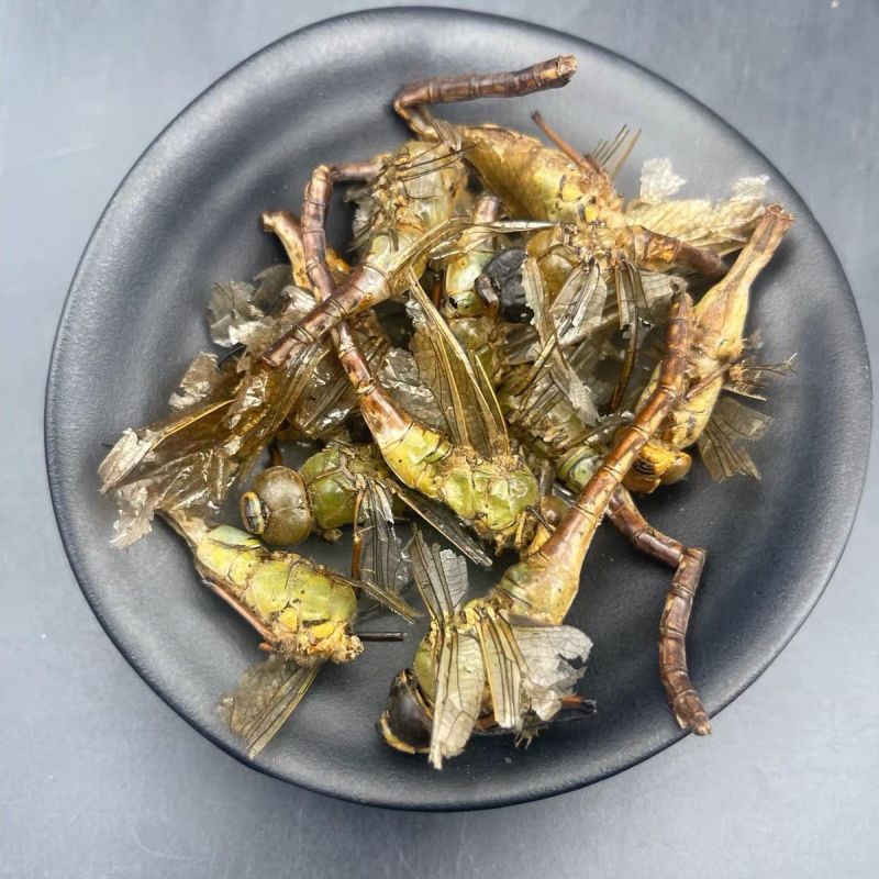 蜻蜓中药材蜻蜓绿蜻蜓正品精选中药材合作共赢