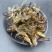 蜻蜓中药材蜻蜓绿蜻蜓正品精选中药材合作共赢