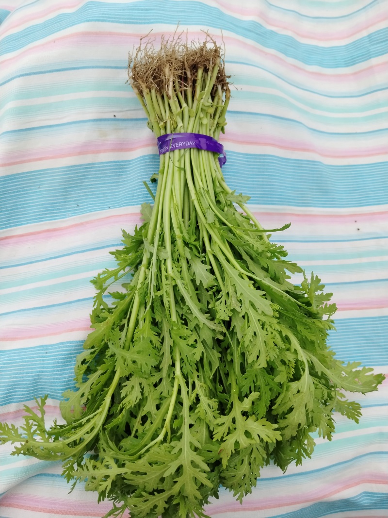 光杆茼蒿，河南西华大棚光杆茼蒿陆续上市。