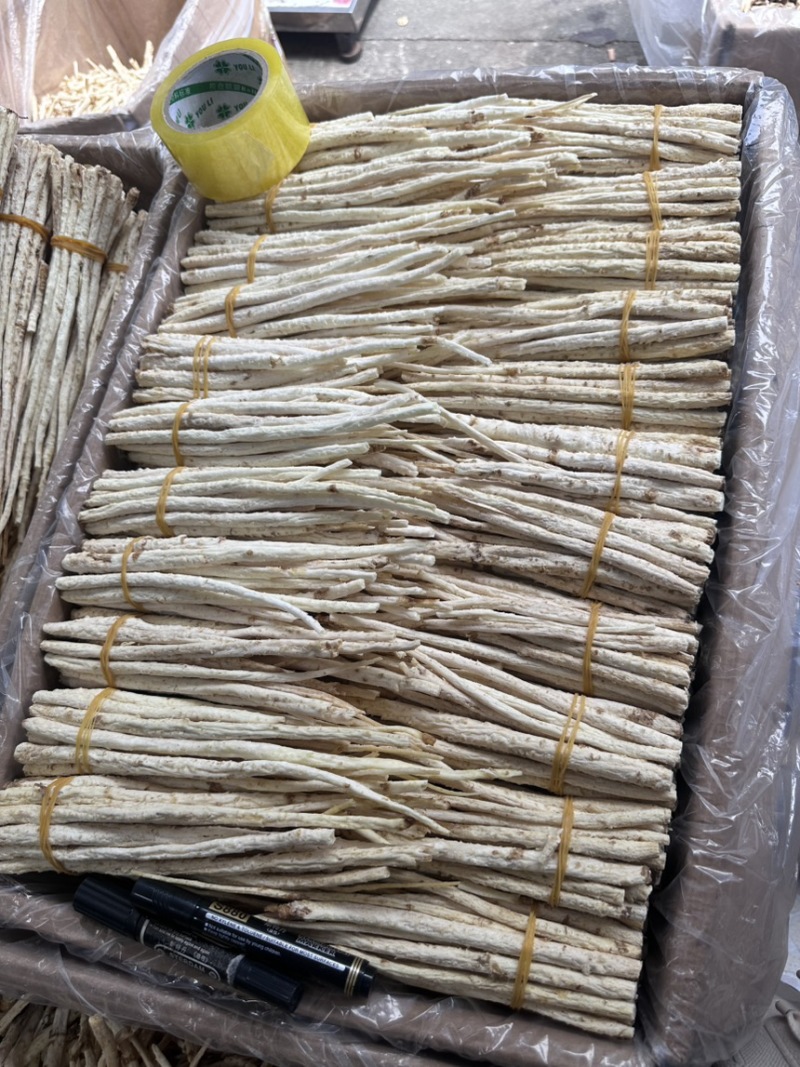 沙参新货