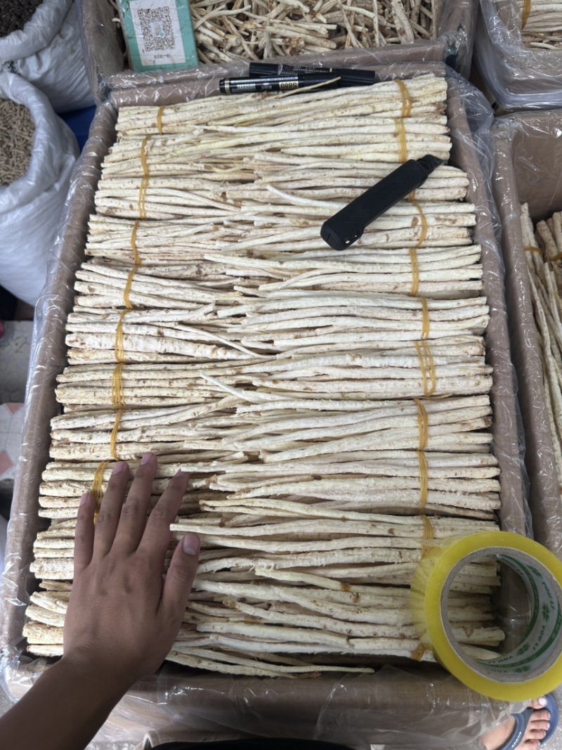 沙参新货