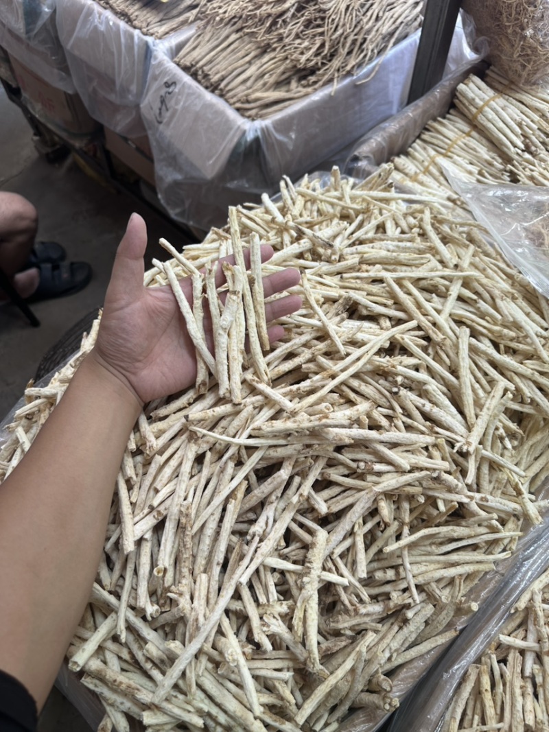 沙参新货