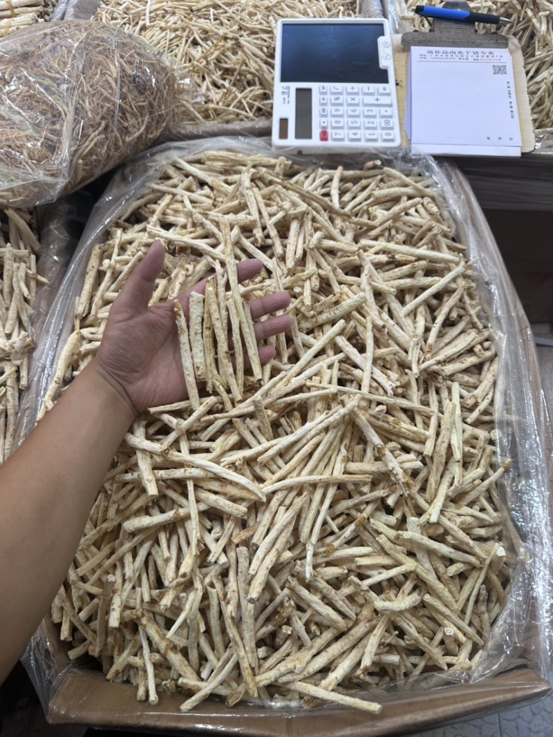 沙参新货