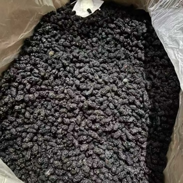 桑葚