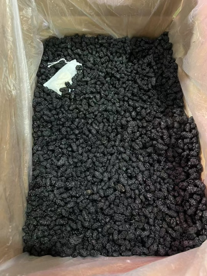 桑葚