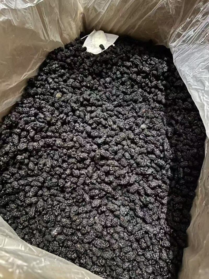 桑葚