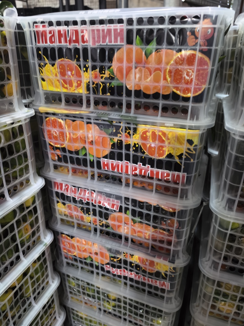 【实力供货】湖北蜜橘清甜可口价格美丽质量好走货快欢迎询价