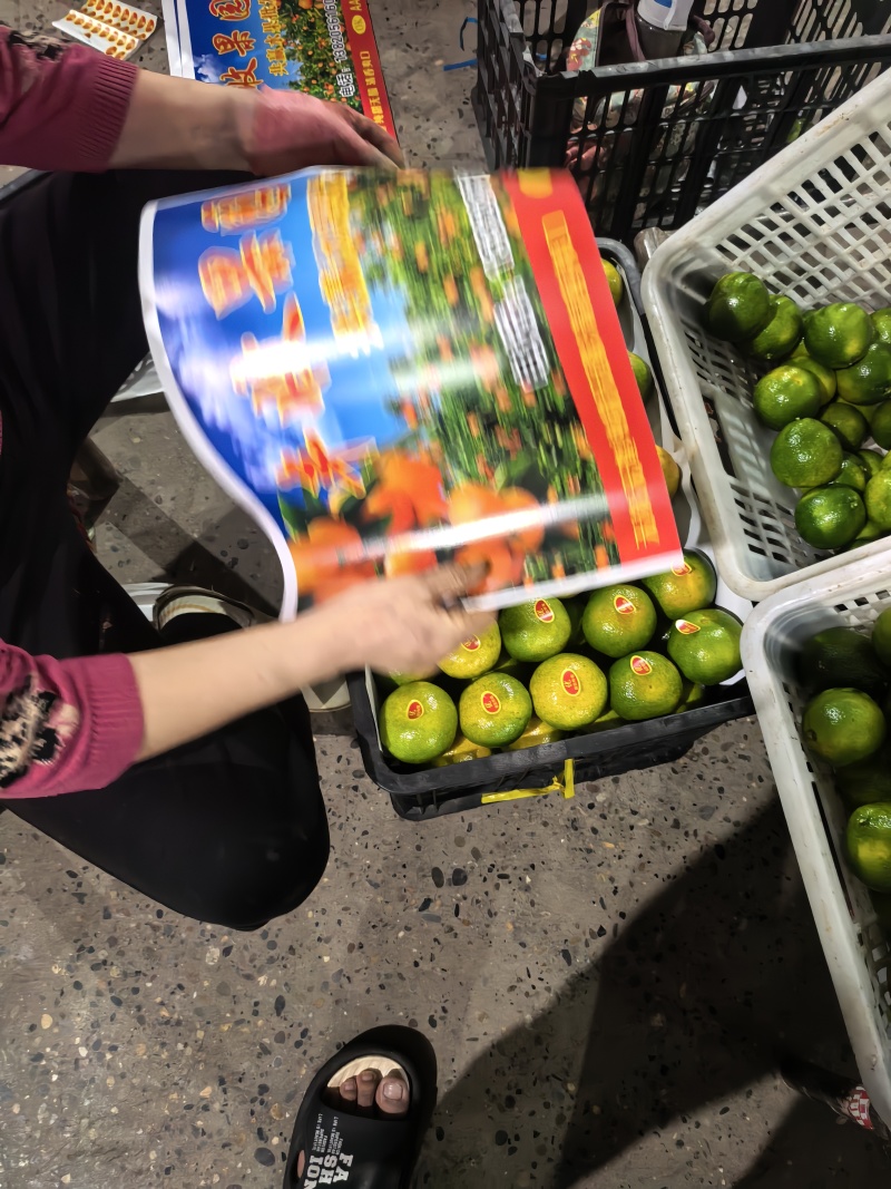 【实力供货】湖北蜜橘清甜可口价格美丽质量好走货快欢迎询价