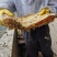 重庆海拔1300米的高山纯土蜂蜜