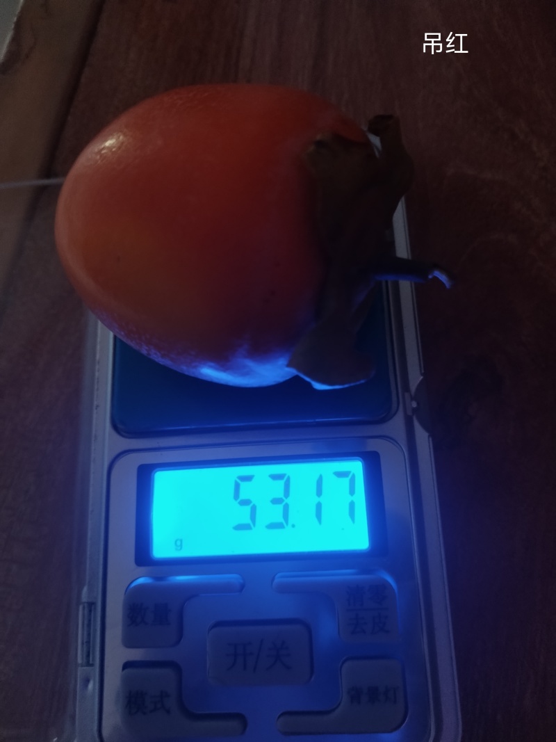 吊红，火葫芦，杨丰柿子量大优先品质好