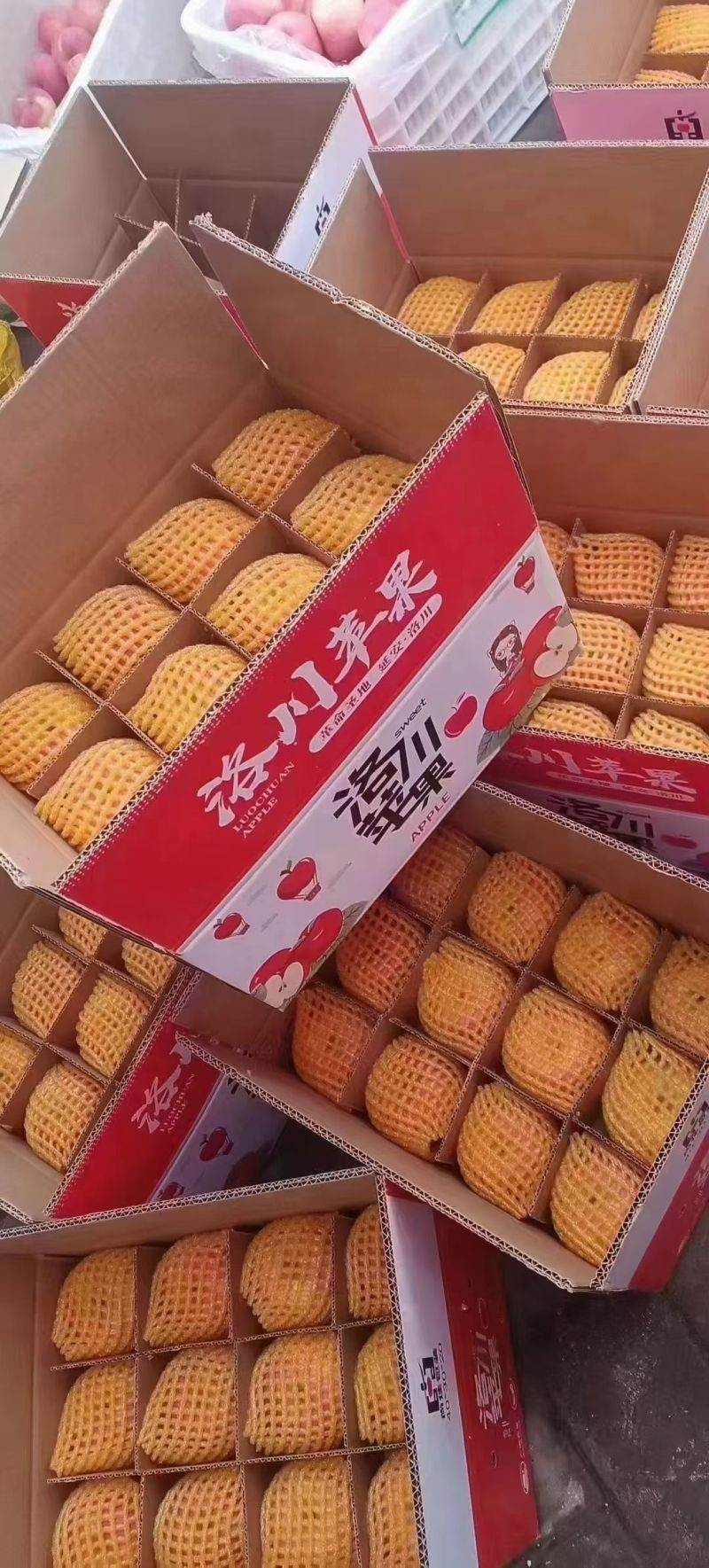 洛川红富士，零售，快递，欢迎采购