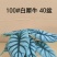 100#白犀牛盆栽9元40盆