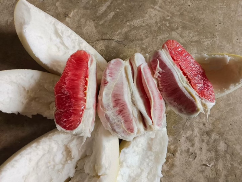 红心柚现货现摘***********