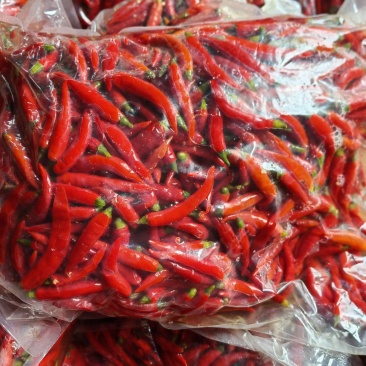小米辣泡椒