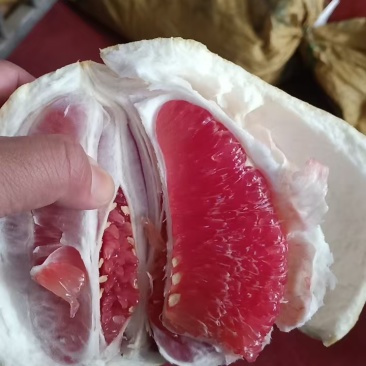 平和琯溪蜜柚