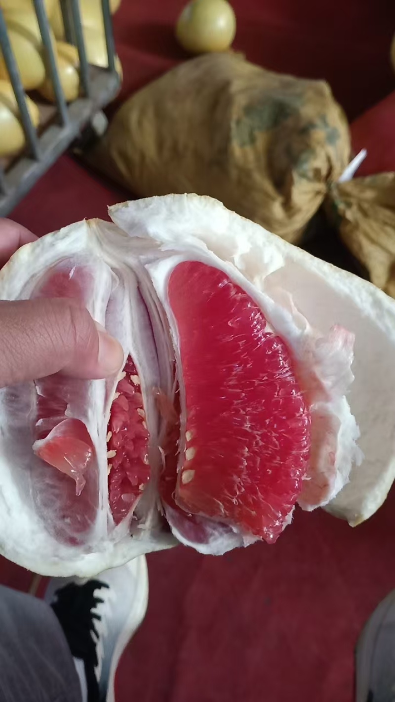 平和琯溪蜜柚