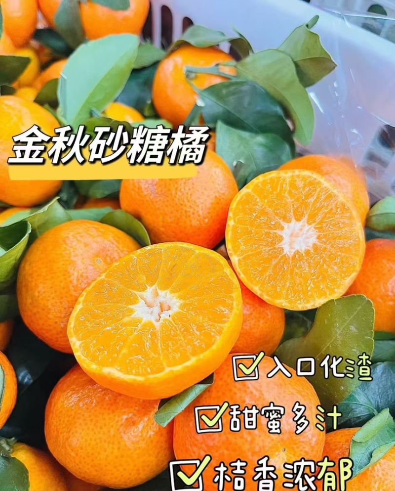 云南精品沙糖桔产地直发糖度高保质保量代发全国