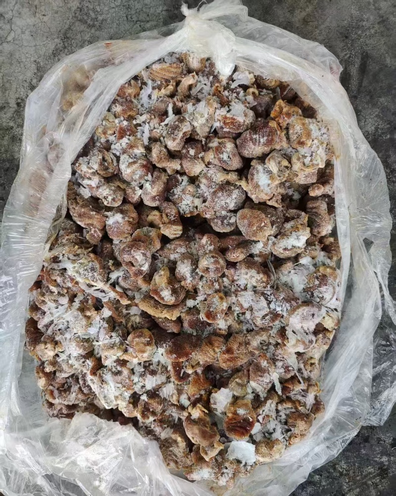 鸡蛋包头