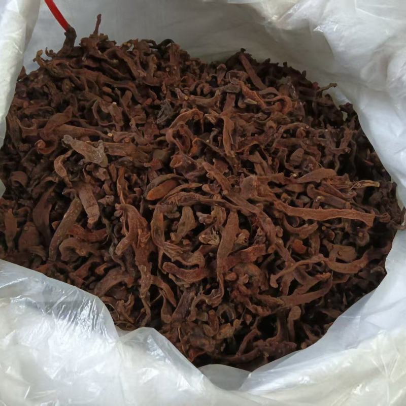 骨碎补，中药材原产地，工厂直加工，品质优良