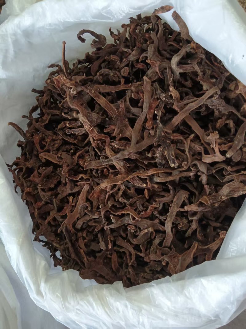 骨碎补，中药材原产地，工厂直加工，品质优良