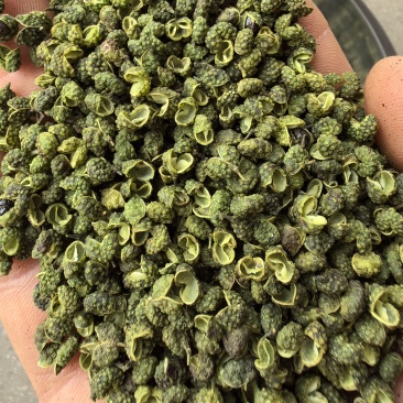 金阳青花椒/麻味纯正/清香浓郁/色翠油亮/很麻很香/精选
