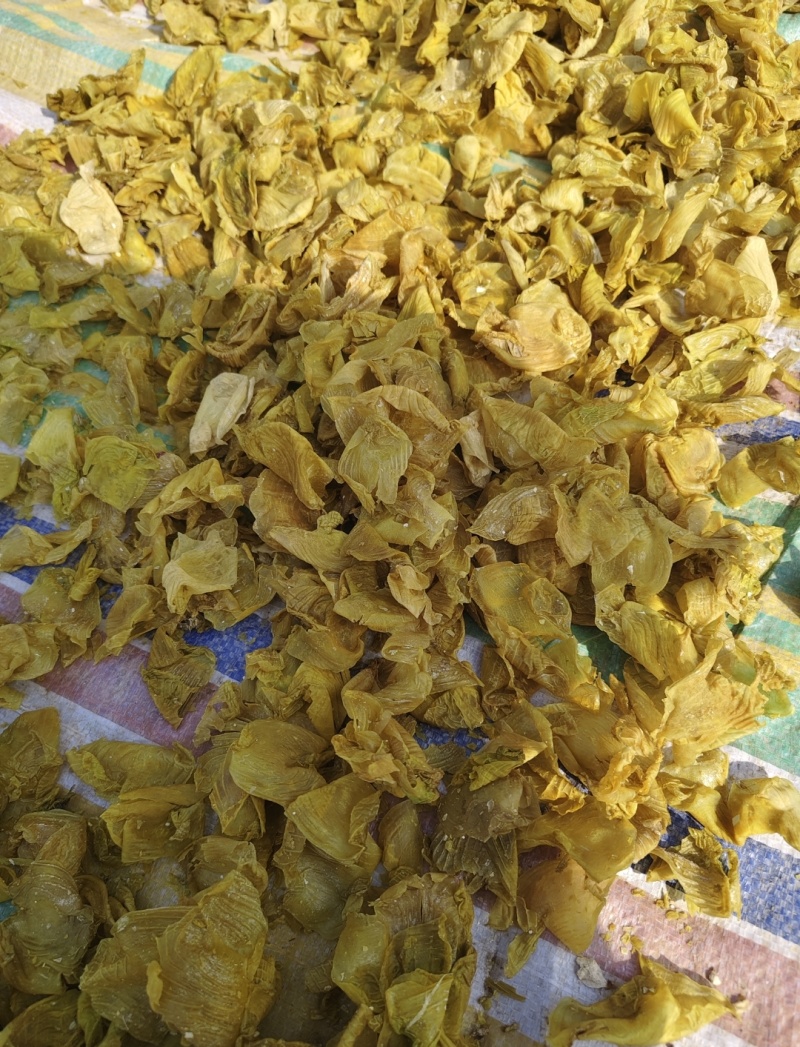鸡内金