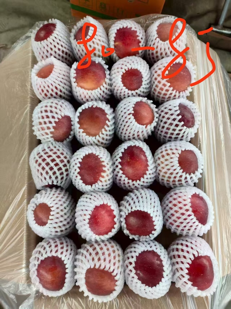 大凉山丑苹果冰糖心大量上市了