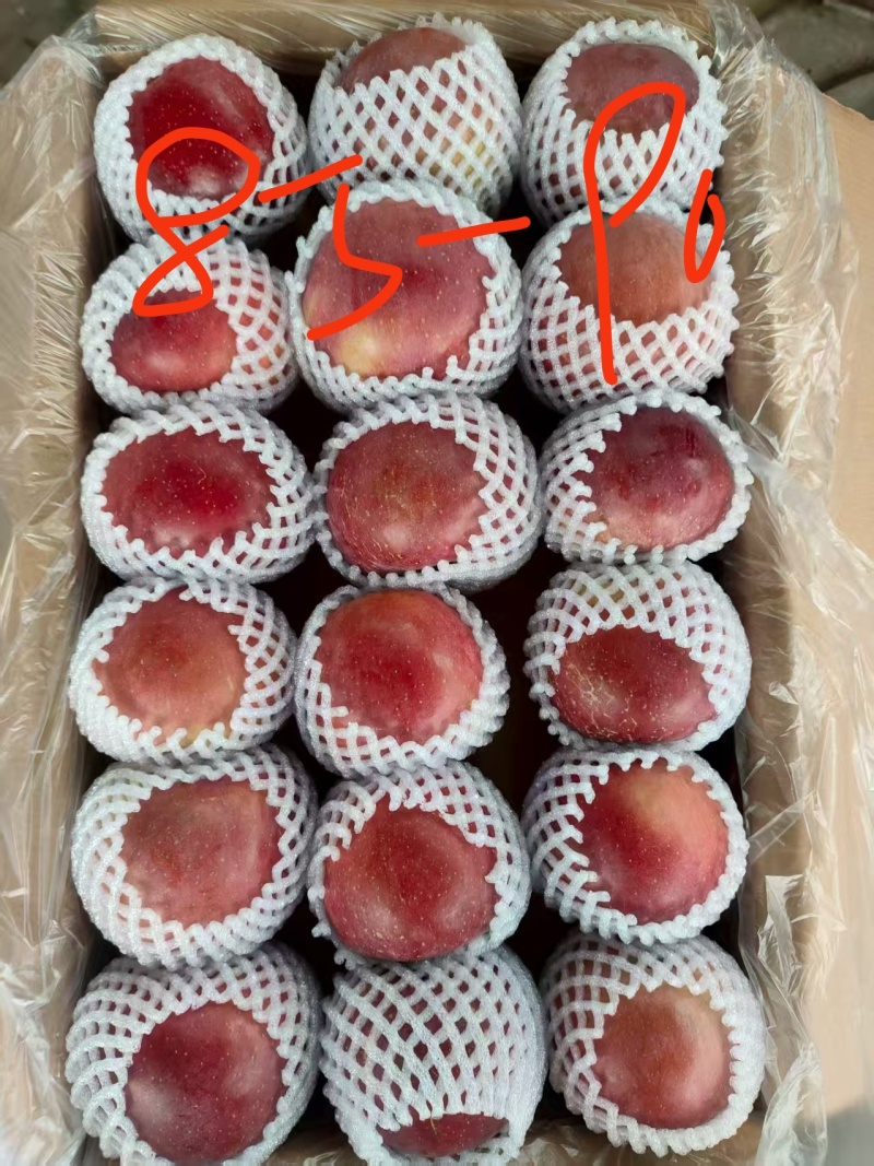 大凉山丑苹果冰糖心大量上市了