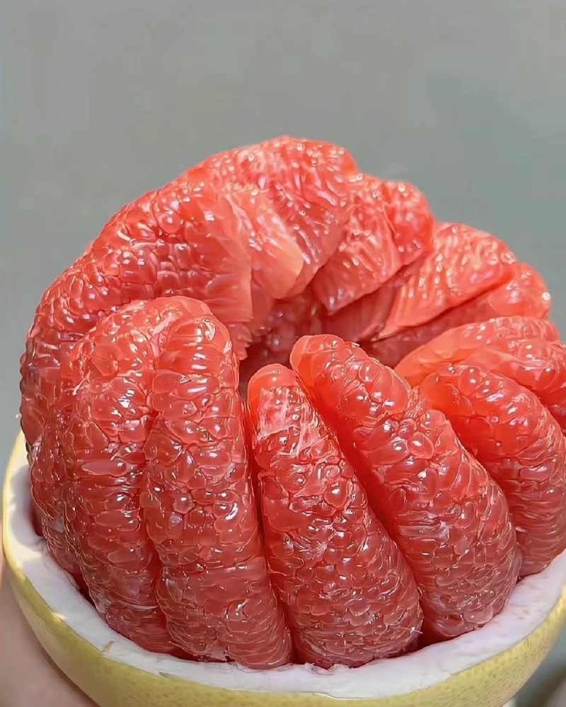 【产地直销】福建三红蜜柚，严选精品，量大从优，纯甜多汁