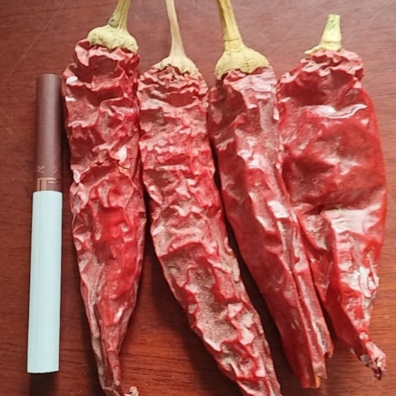 红龙23大量现货新货已开卖，价格实惠支持一件代发