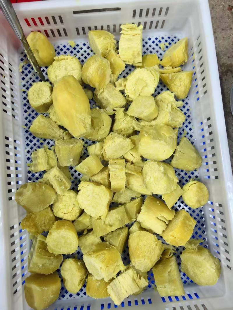 济薯21速冻蒸地瓜块熟红薯块山东厂家直销量大从优