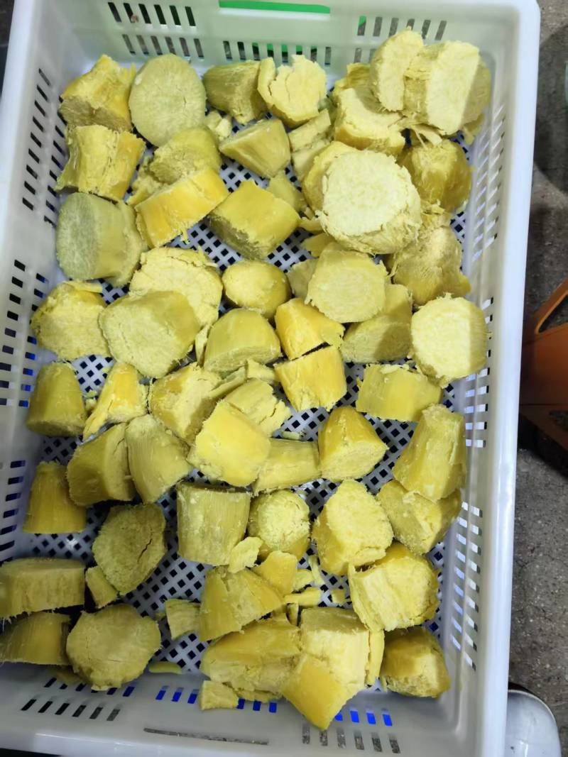 济薯21速冻蒸地瓜块熟红薯块山东厂家直销量大从优