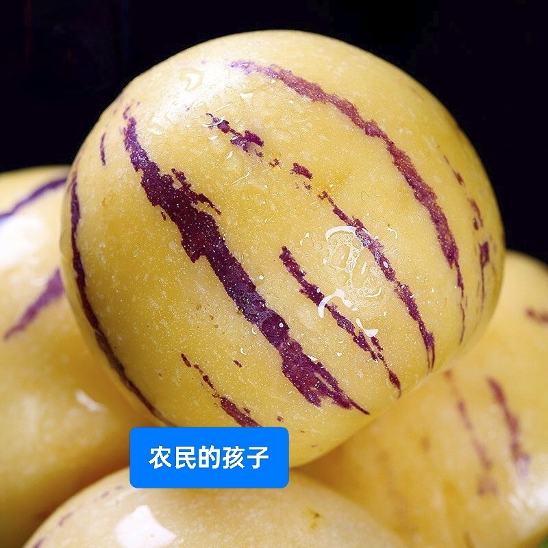 人参果