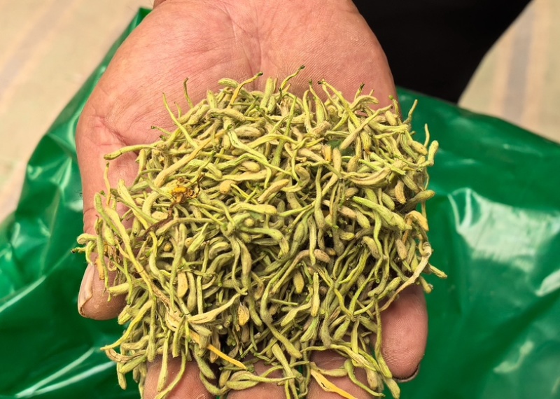 金银花二花双花忍冬自产自销量大从优质量可靠