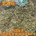 金银花二花双花忍冬自产自销量大从优质量可靠