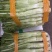 棒菜正式上线，头子长个头大