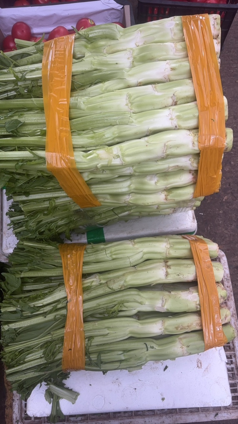 棒菜正式上线，头子长个头大