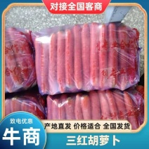 陕西胡萝卜大荔沙底红秤杆胡萝卜产地一手货源全国发货