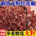 四川汉源头茬红花椒/红花椒/贡花椒