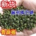 四川汉源青花椒/干花椒/青花椒大量上市.