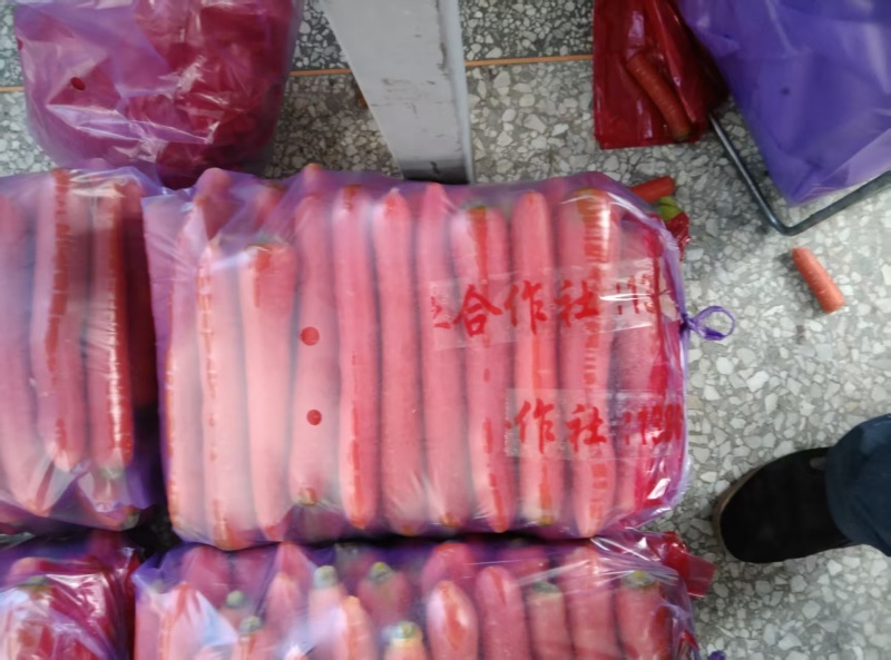 陕西大荔三红胡萝卜大量上市产地直发量大从优欢迎来电