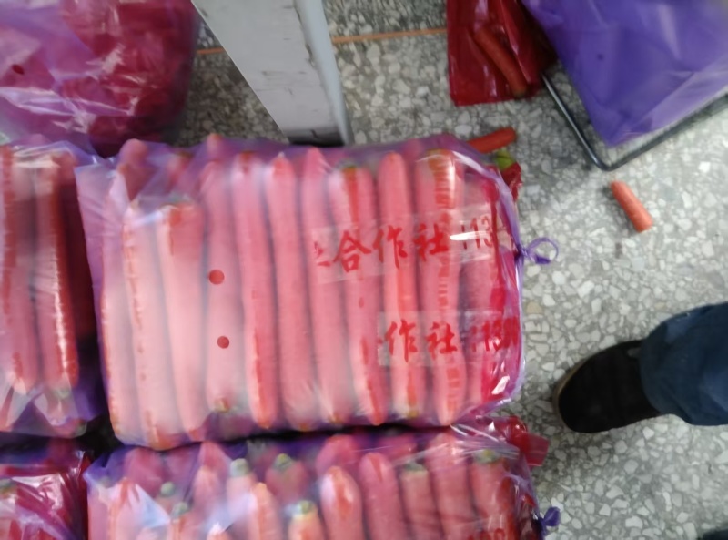 陕西大荔三红胡萝卜大量上市产地直发量大从优欢迎来电