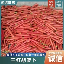 秤杆红萝卜产地直发一手货源老板热情欢迎致电